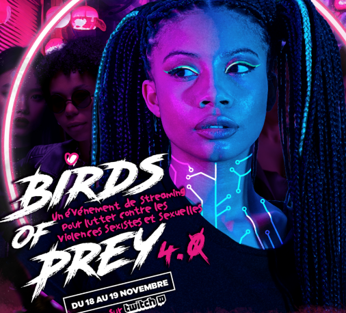 Birds of Prey 4.0 & 5.0 : Conception de l’identité visuelle d’un marathon de streaming caritatif